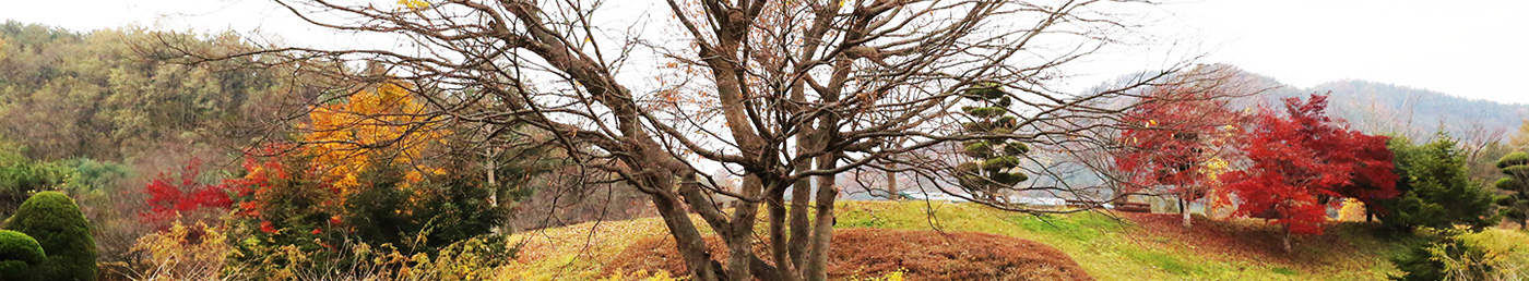 산업과학대학 이미지